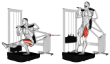 Lever Pistol Squat