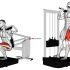 Lever Full Squat