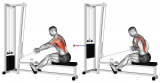 Cable Elevated Row