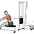 Cable Close-Grip Front Lat Pulldown