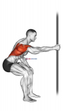 Fixed Bar Back Stretch
