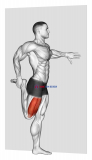Standing Quadriceps Stretch