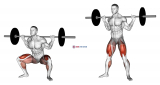 Barbell sumo squat
