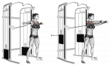 Cable Standing Chest Press