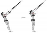 Suspension Arm Curl