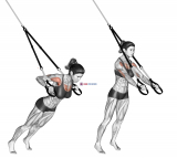 Suspension Chest Press