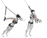 Suspension Fly