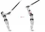 Suspension Front Raise