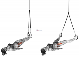 Suspension Hip Abduction