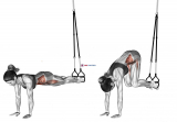 Suspension Jack knife Pike