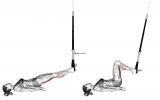 Suspension Leg Curl