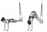 Suspension Pike