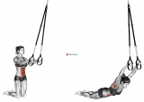 Suspension Rollout