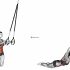 Barbell Reverse Grip Decline Bench Press