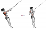 Suspension Row