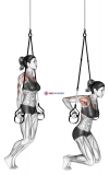 Suspension Self assisted Triceps Dip