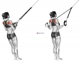 Suspension Shoulder External Rotation
