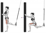 Suspension Single Leg Split Squat