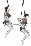 Suspension Triceps Dip