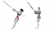 Suspension Twist