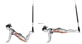 Suspension Front Plank