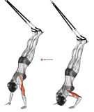 Suspension Handstand Push-up