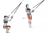 Suspension Jump Squat