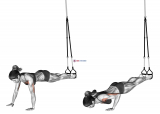Suspension Push-up