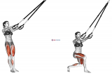 Suspension Side Cross Lunge