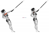 Suspension Single Arm Rear Delt Row