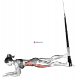 Suspension Single Leg Plank