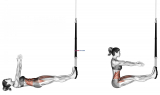 Suspension Sit-up