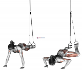 Suspension Spiderman Push-up
