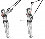 Suspension Split Fly