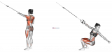 Suspension Squat Power Pull
