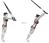 Suspension Standing Ab Rollout