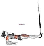 Suspension Supine Plank