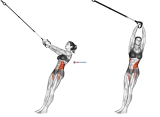 Suspension Twist-Up