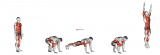 Burpee