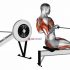 Cable Standing Lat Pushdown (rope equipment)