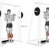 EZ-Bar Standing Overhead Press