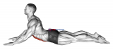 Lying (prone) Abdominal Stretch (male)