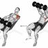 Dumbbell forward leaning lunge