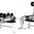 Dumbbell Standing Single Leg Calf Raise