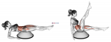 Alternate Straight Leg Raise (on bosu ball)