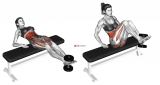 Weighted Twisting Crunch (on bench)