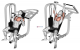 Lever Incline Hammer Chest Press
