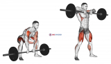 Sumo Deadlift High Pull