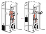 Cable horizontal Pallof Press