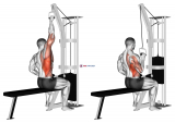 Cable one arm lat pulldown